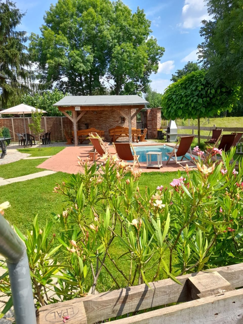 Patio, Garden, Garden view, Swimming pool