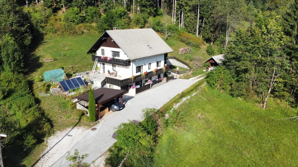 Property building, Bird's eye view