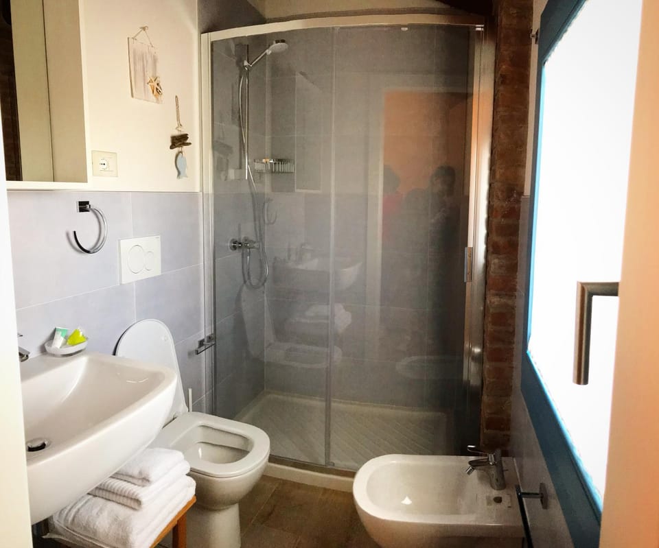 Shower, Toilet, Bathroom, bidet