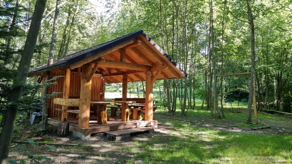 Activities, BBQ facilities, Garden, Area and facilities