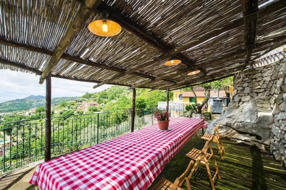 Patio, Garden, Garden view