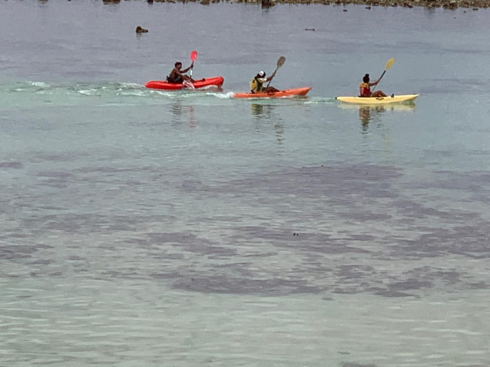 Day, People, Natural landscape, Activities, Canoeing, group of guests