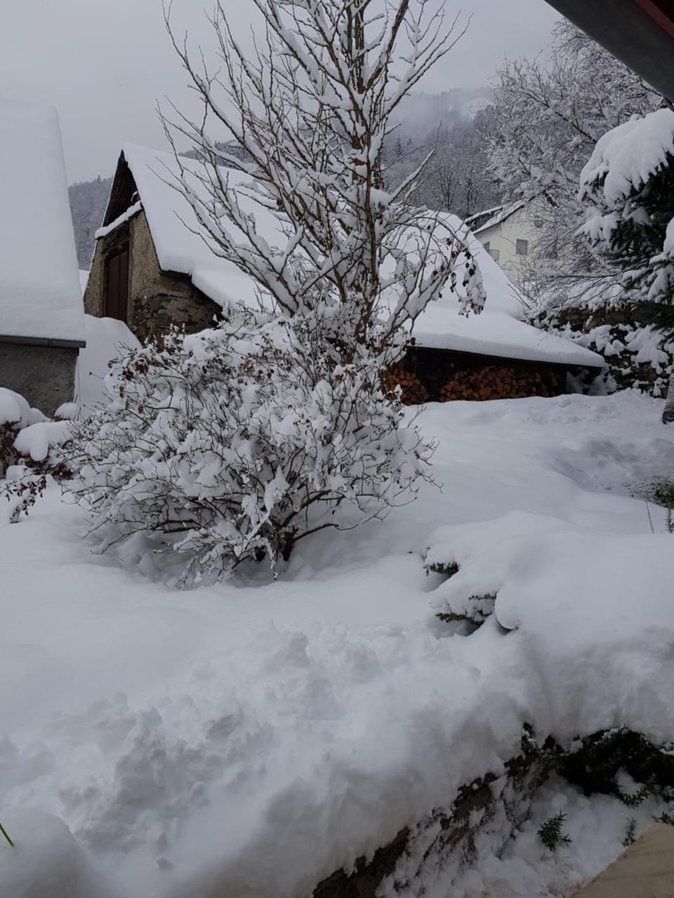 ST LARY-VIGNEC Joli petit appartement idéalament situé Apartment in Saint-Lary-Soulan
