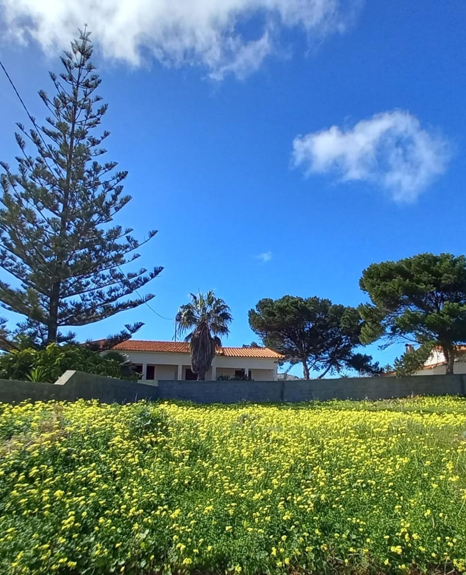 Quintinha das Lombas House in Madeira District