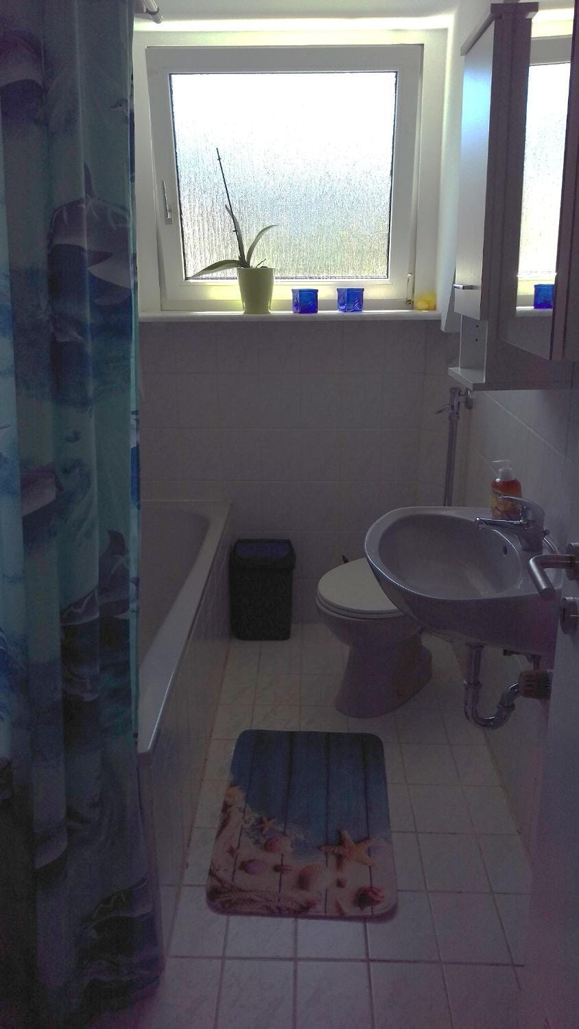 Shower, Toilet, Bathroom