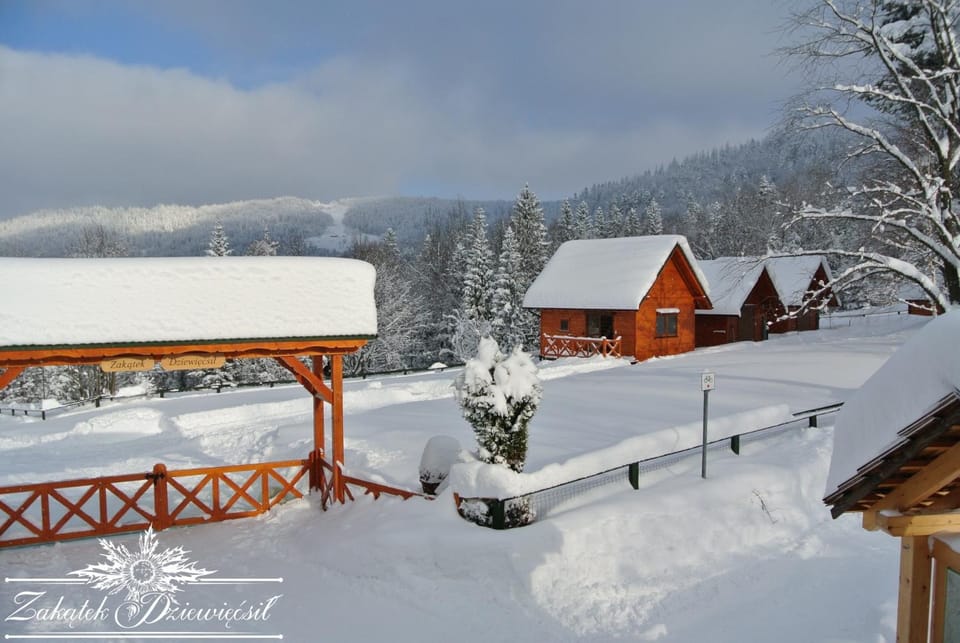 Property building, Day, Natural landscape, Winter, Mountain view