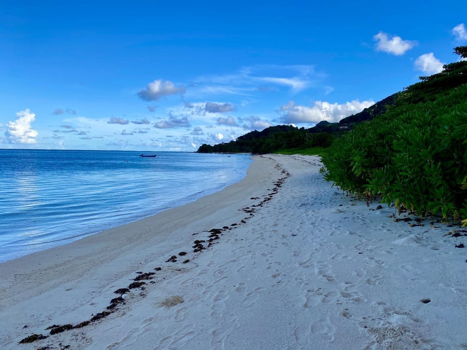 Natural landscape, Beach