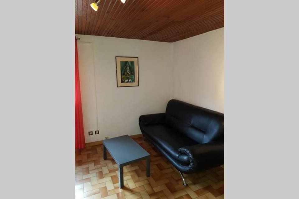 ST LARY-VIGNEC Charmant studio au calme Apartment in Saint-Lary-Soulan