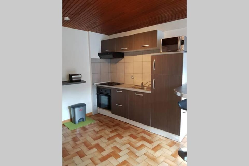 ST LARY-VIGNEC Charmant studio au calme Apartment in Saint-Lary-Soulan