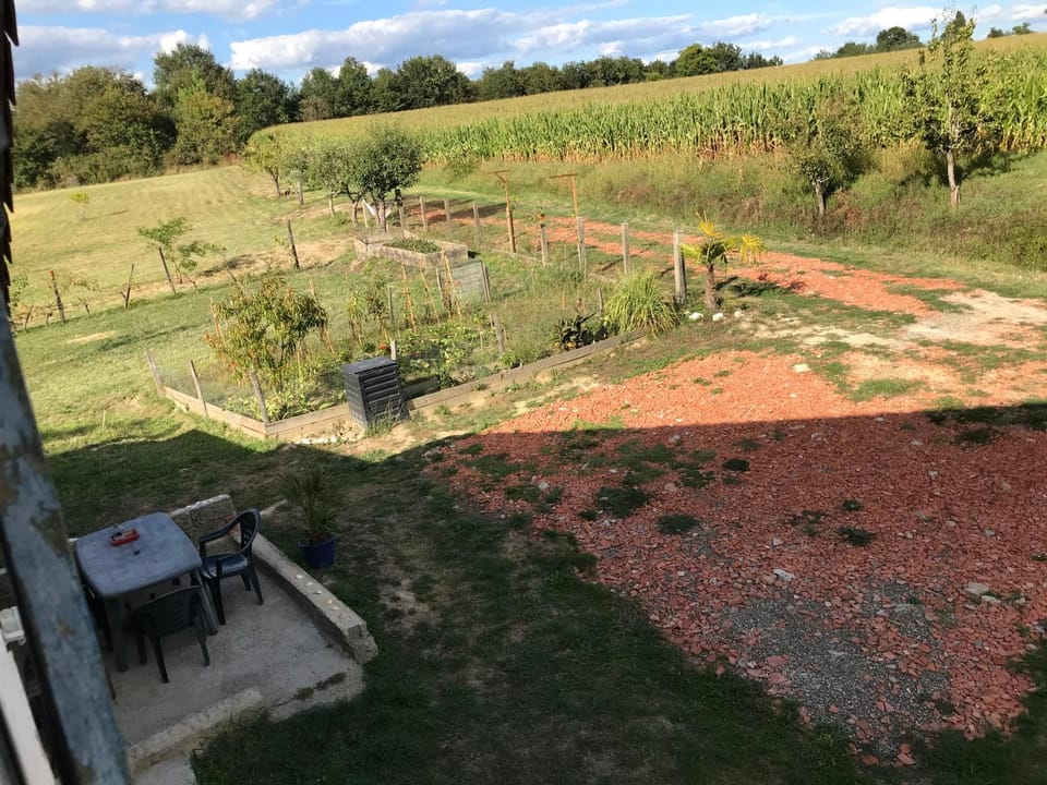 Balcony/Terrace, Garden view