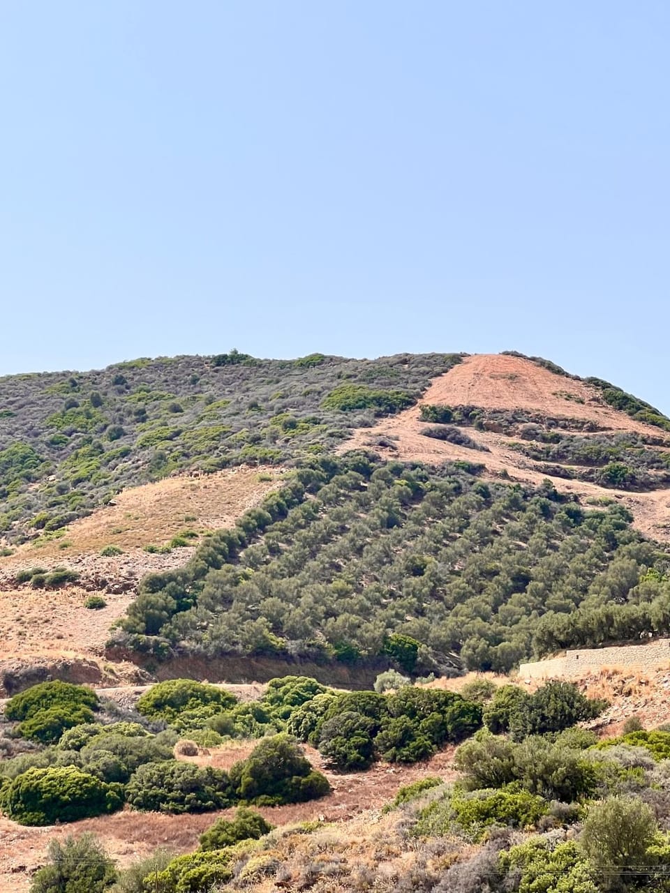 Bella Vista Apartment in Crete Region