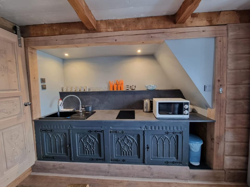 Kitchen or kitchenette, minibar, stove