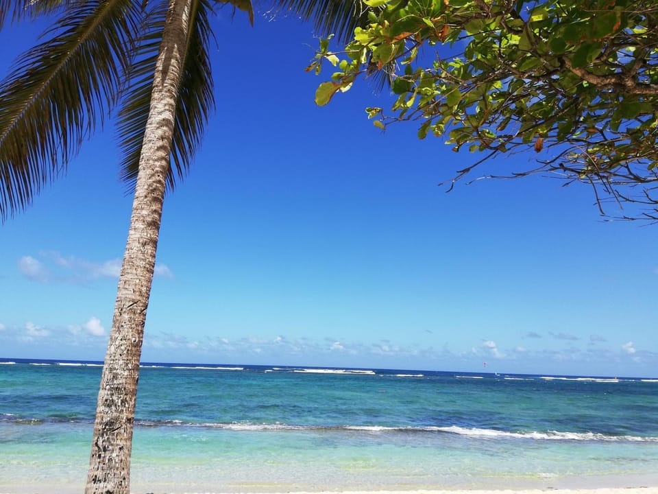 Appartement idéal famille, vue sur mer. Apartment in Grande-Terre, Guadeloupe