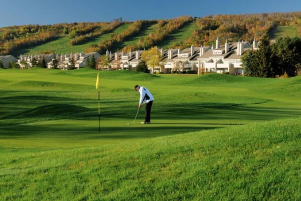 3BDR Golf Course Home | Private Sauna & Mtn Views House in Grey Highlands