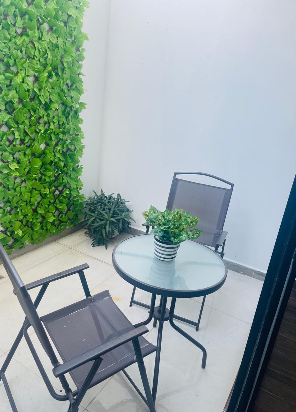 Patio, Garden