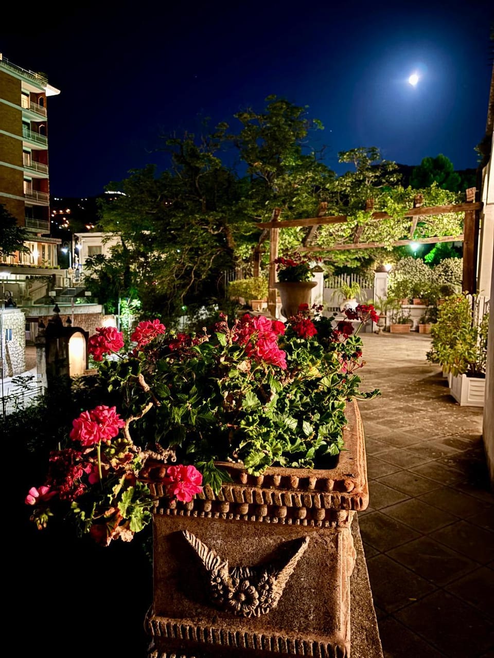 Night, Garden, Balcony/Terrace, Garden view