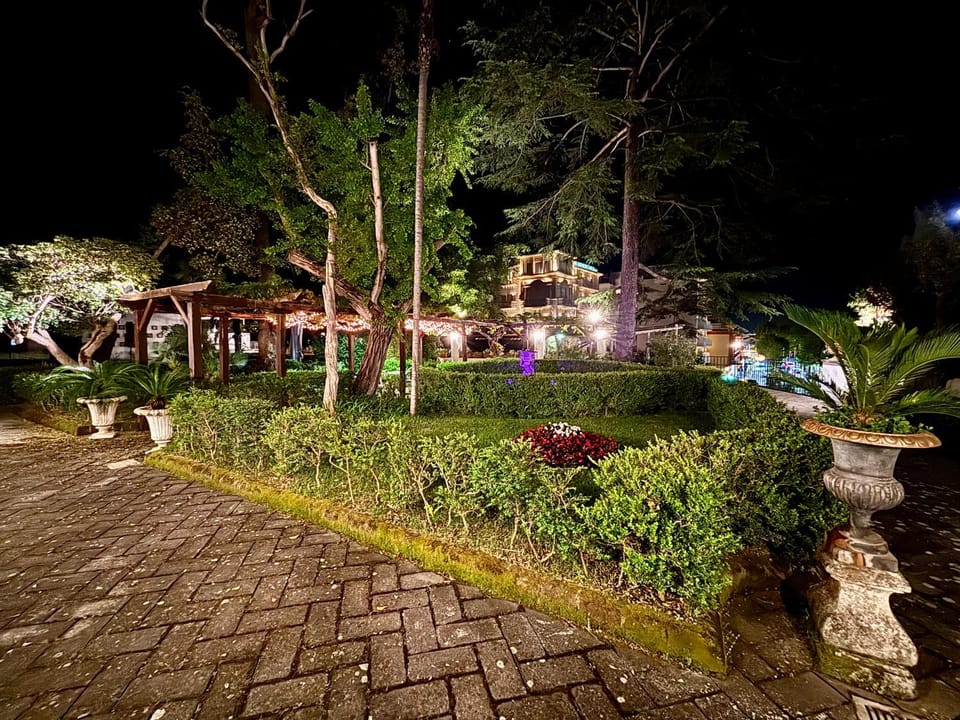 Night, Garden