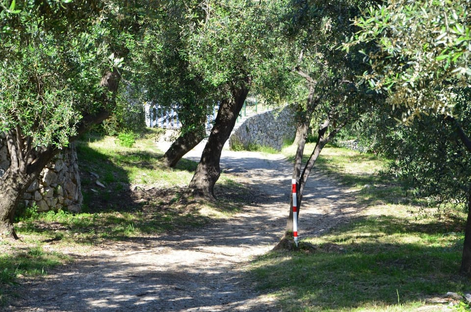 Garden, Other, Street view