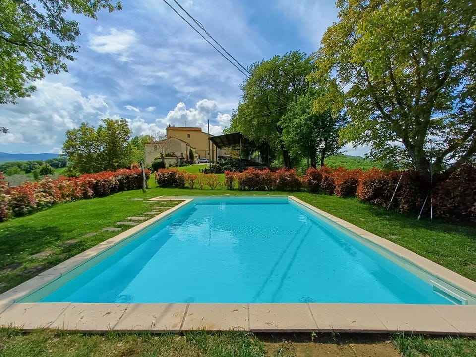 Spring, Day, Natural landscape, Garden, Garden view, Pool view, Swimming pool, Swimming pool, sunbed
