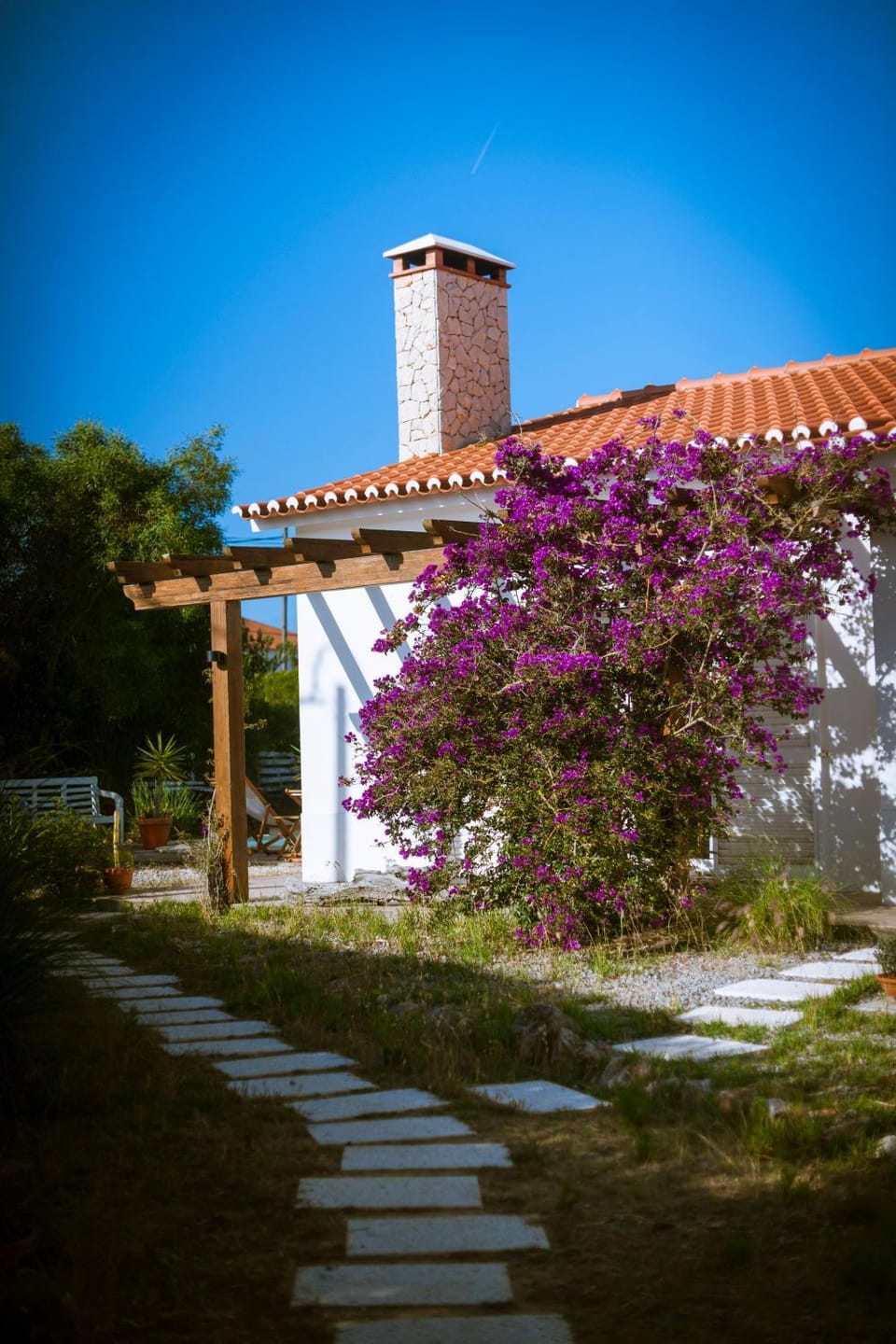 Endless Summer Surf House Bed and Breakfast in Faro District