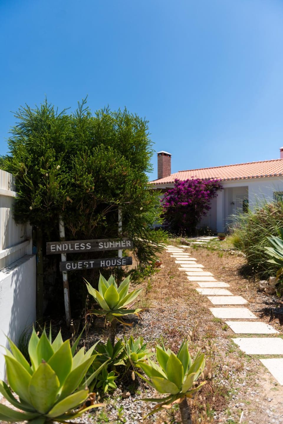 Endless Summer Surf House Bed and Breakfast in Faro District