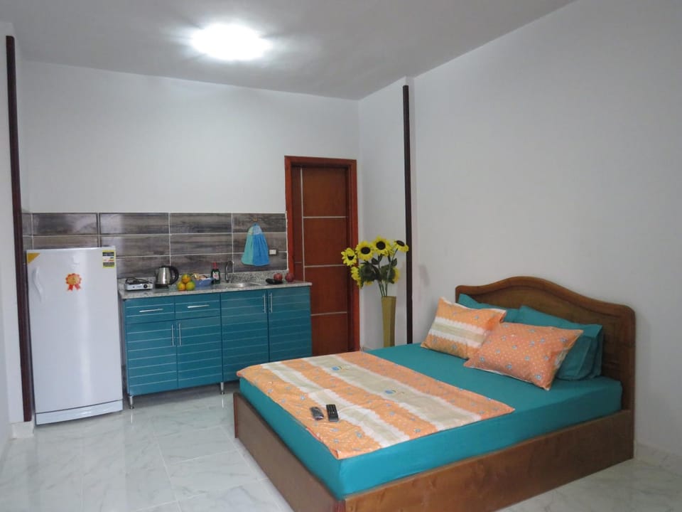 Bed, TV and multimedia, Coffee/tea facilities, Kitchen or kitchenette, Photo of the whole room, Decorative detail, On site, Area and facilities, Area and facilities