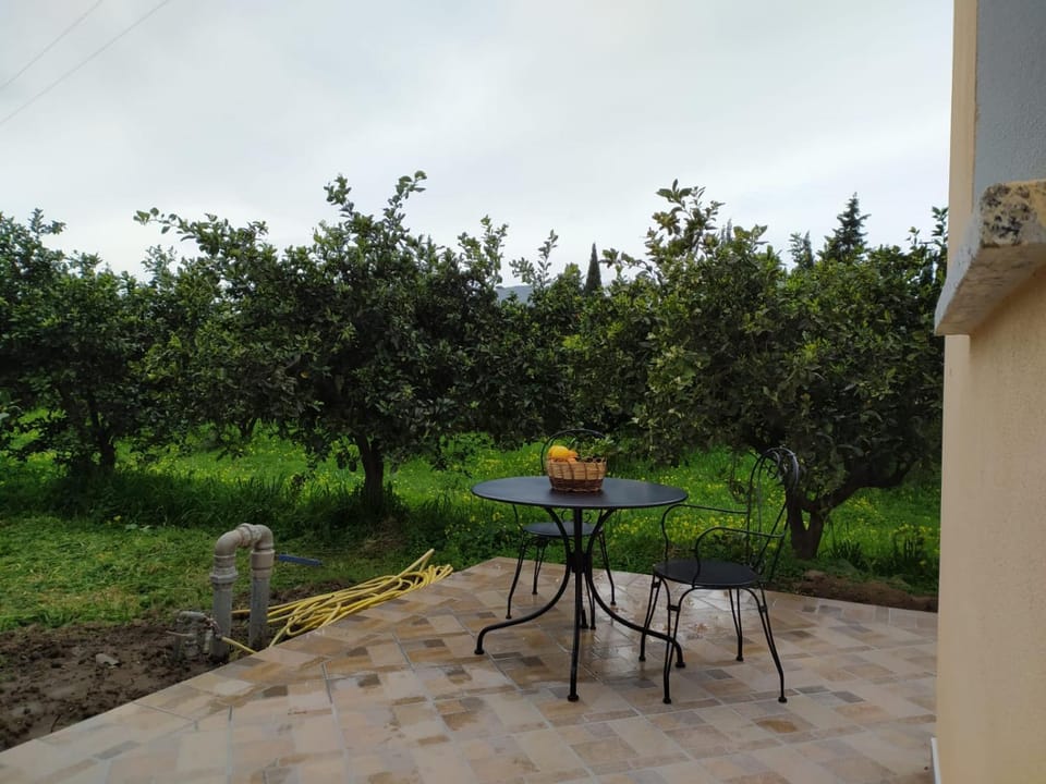 Patio, Garden