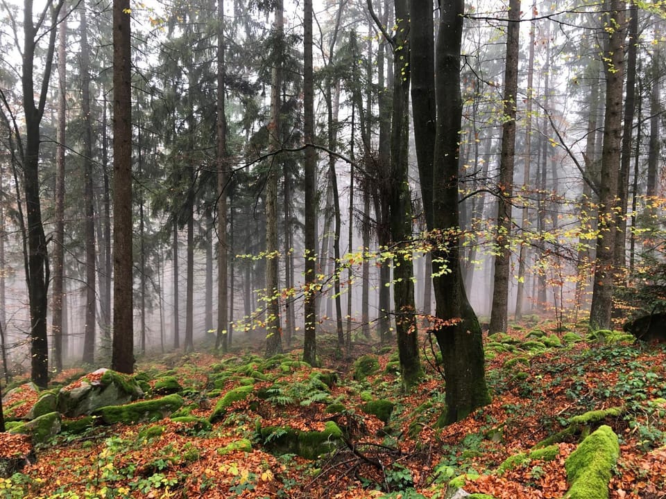 Natural landscape, Hiking