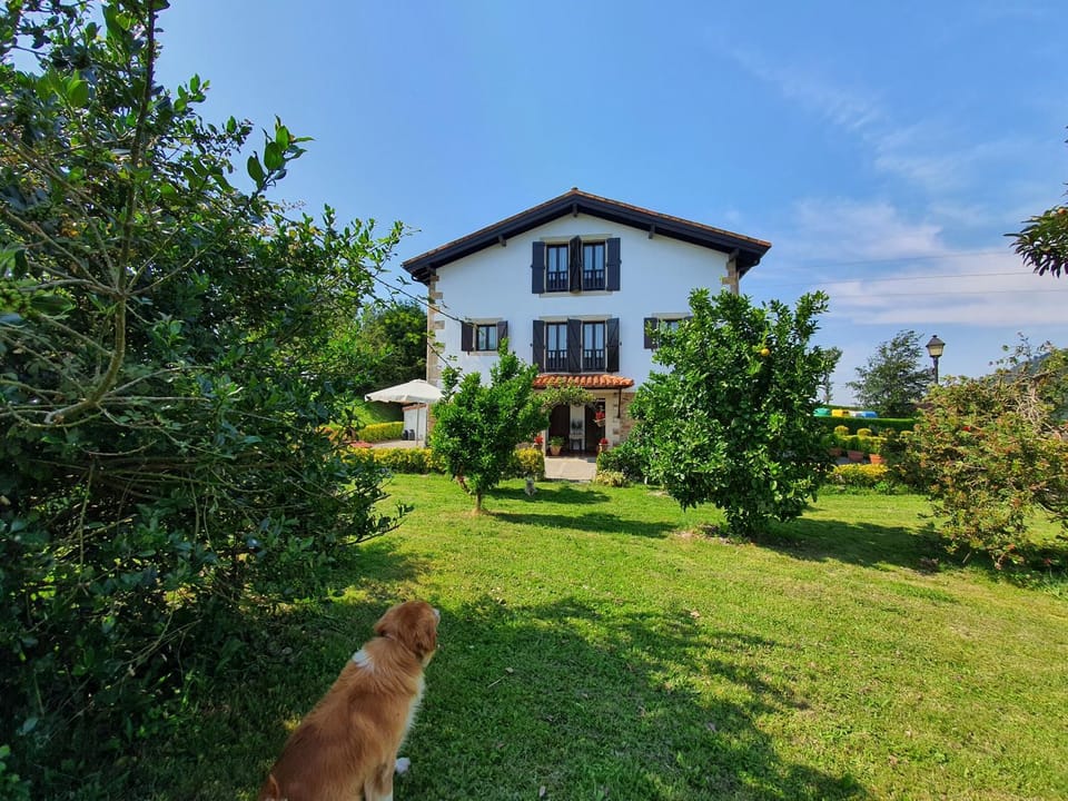 Natural landscape, Garden