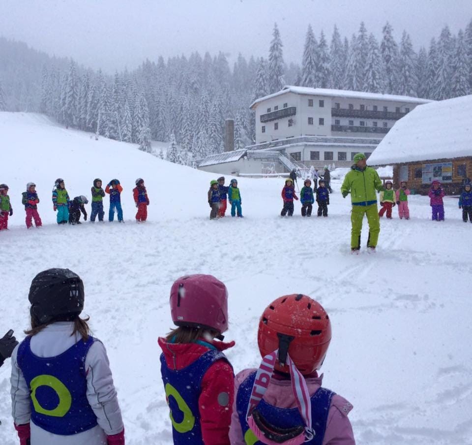 Day, People, Winter, Skiing, children, group of guests