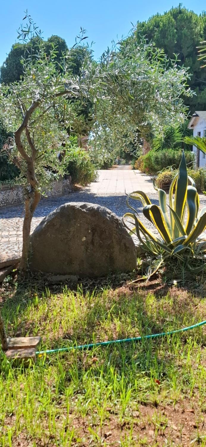 Affittacamere Villa Brazzano Bed and Breakfast in Scalea