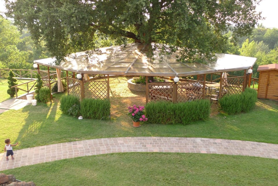 Patio, Garden