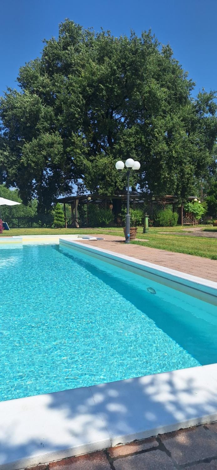 Garden, Swimming pool
