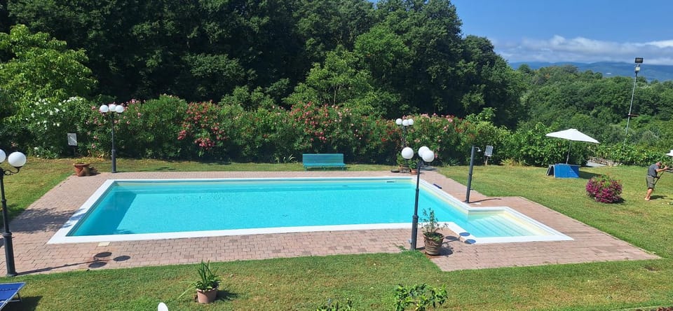 Garden, Swimming pool