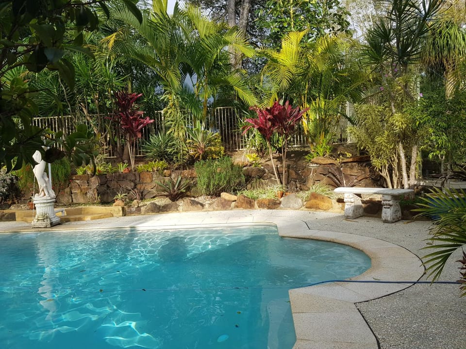 Pool view, Swimming pool
