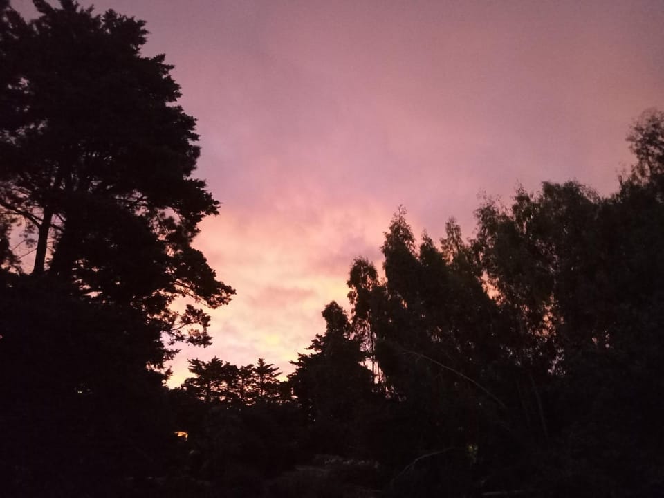 Posada A Viagem Inn in Tandil