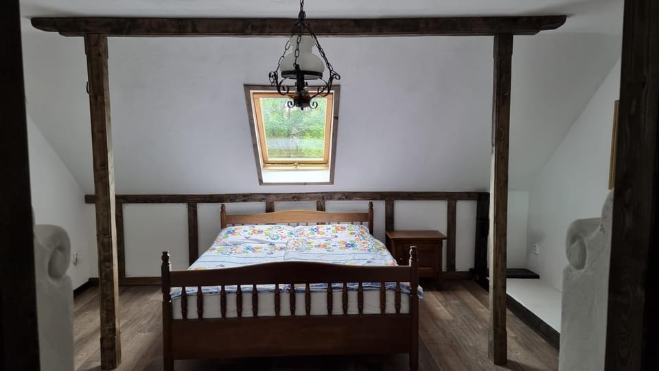 Přemyslovský dvůr Apartment in Czechia
