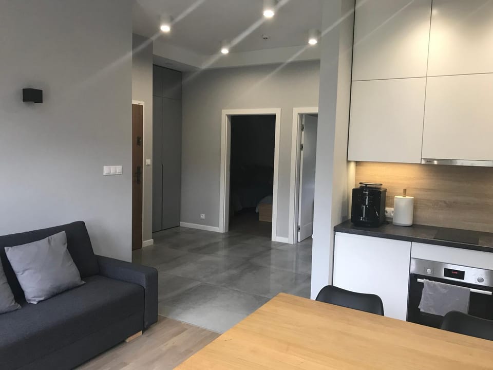 Kitchen or kitchenette, Living room, Seating area, Dining area