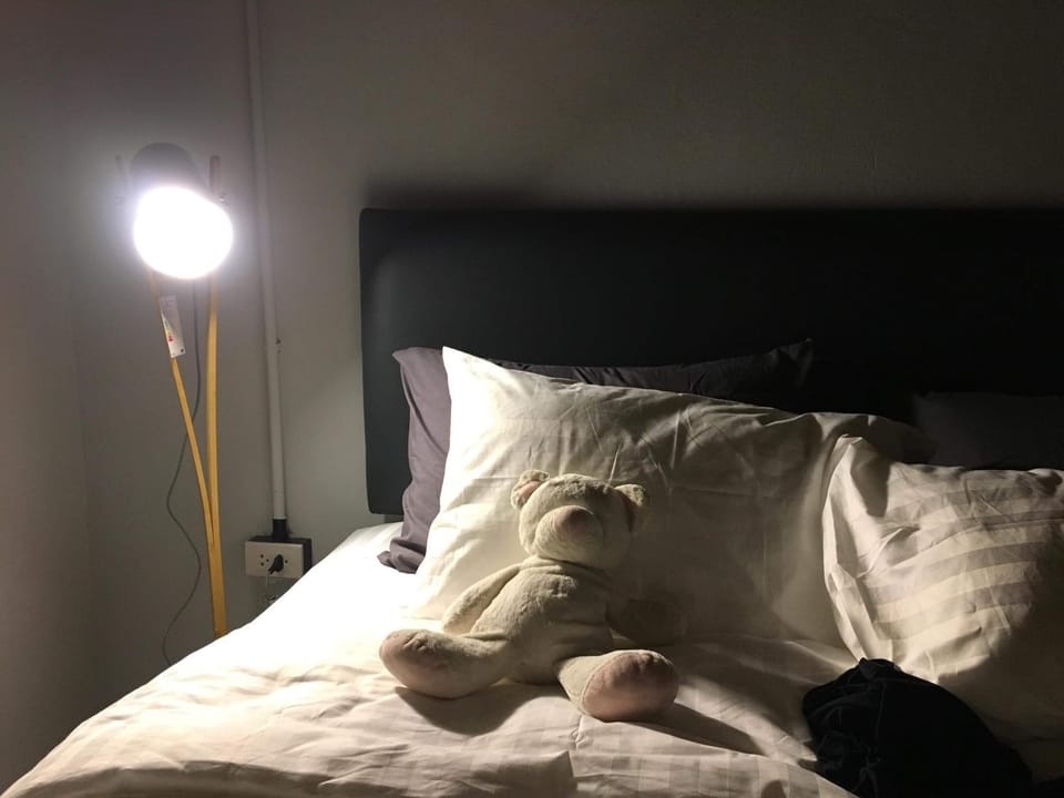 Photo of the whole room