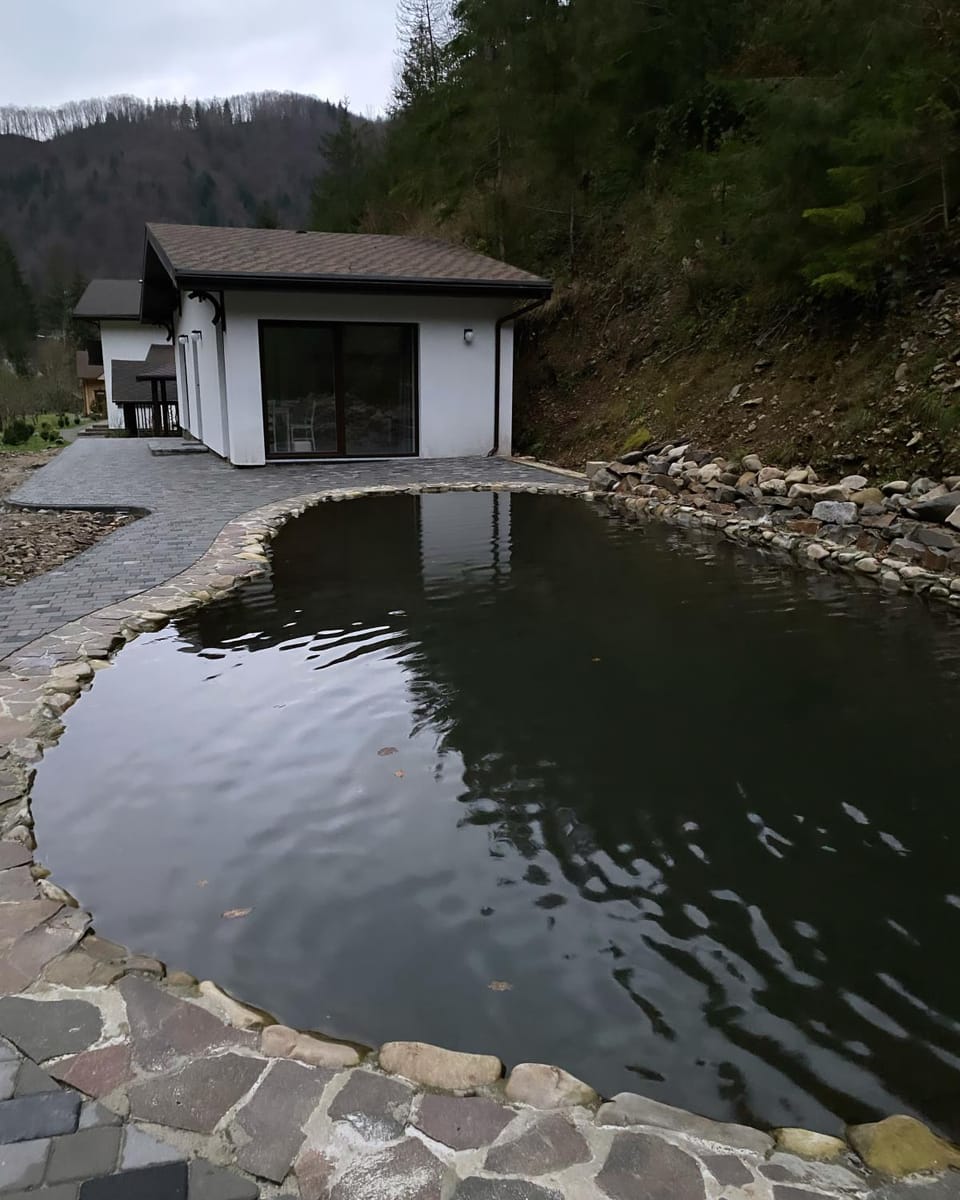 Котедж Грабовець Apartment in Ukraine