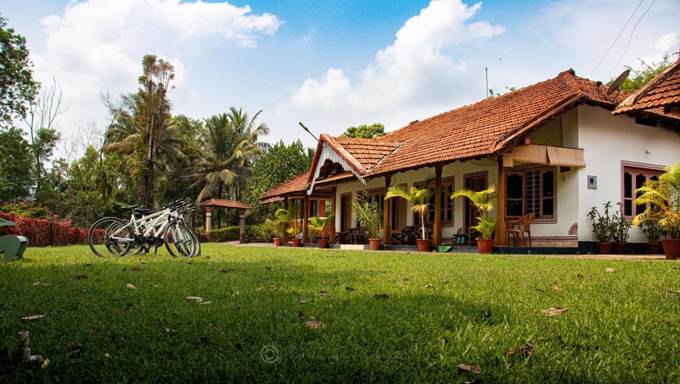 Property building, Spring, Natural landscape, Garden, View (from property/room), Garden view