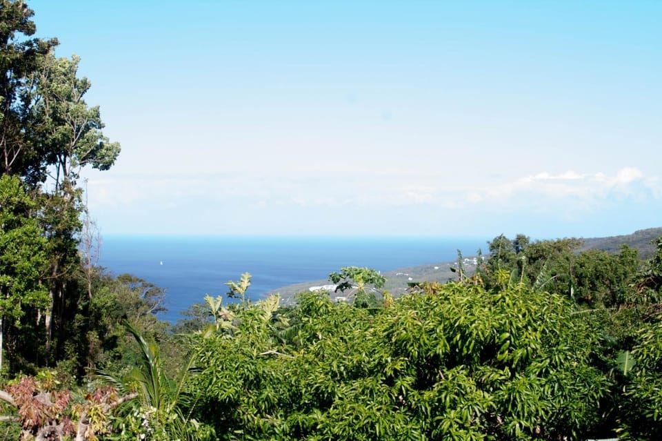 Natural landscape