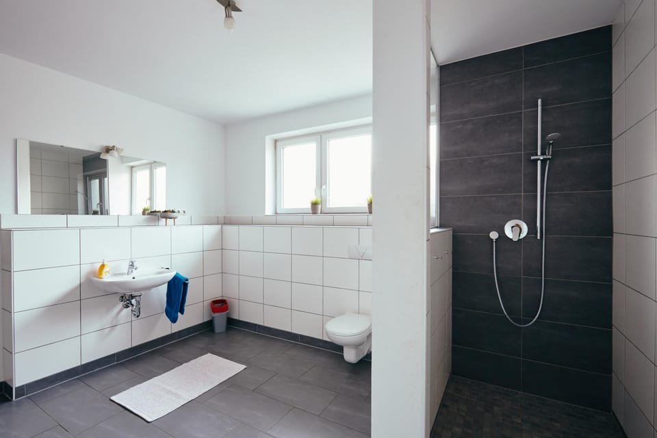 Ferienhaus Sommerweide 160qm bis 10P Apartment in Rhineland-Palatinate