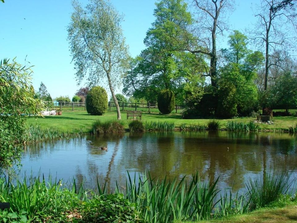 Lake view