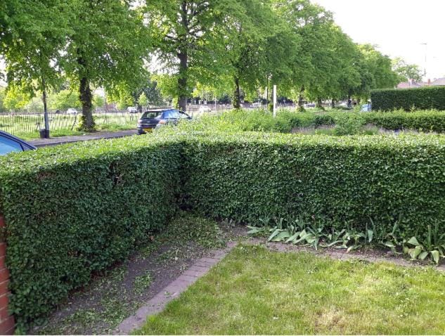 Alphalink house Apartment in Middlesbrough