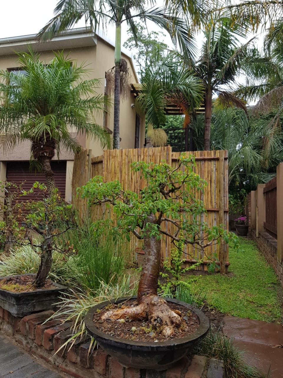 Paradise Flycatcher Accomodation Apartment in Eastern Cape