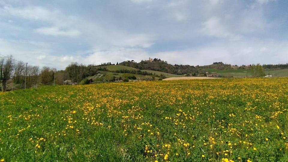 Natural landscape
