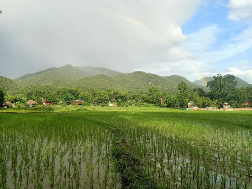 Yawning Fields Nature lodge in Thailand