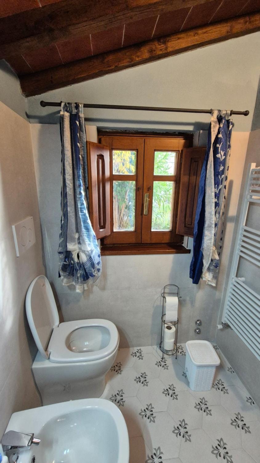 Toilet, Bathroom, bidet