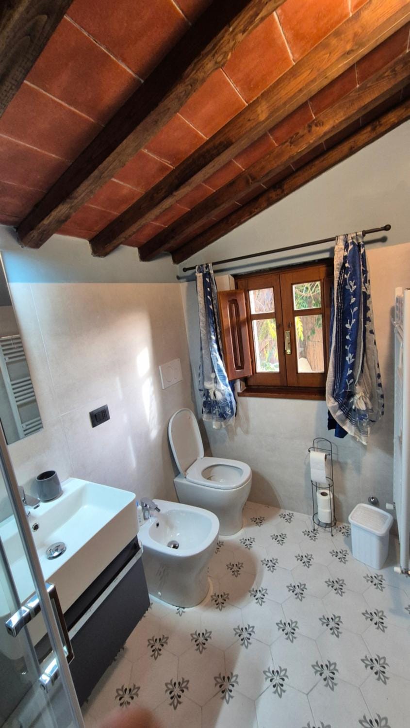 Toilet, Bathroom, bidet